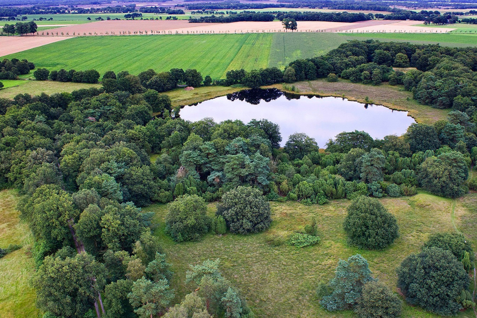Pingo ruïne in Geopark de Hondsrug.