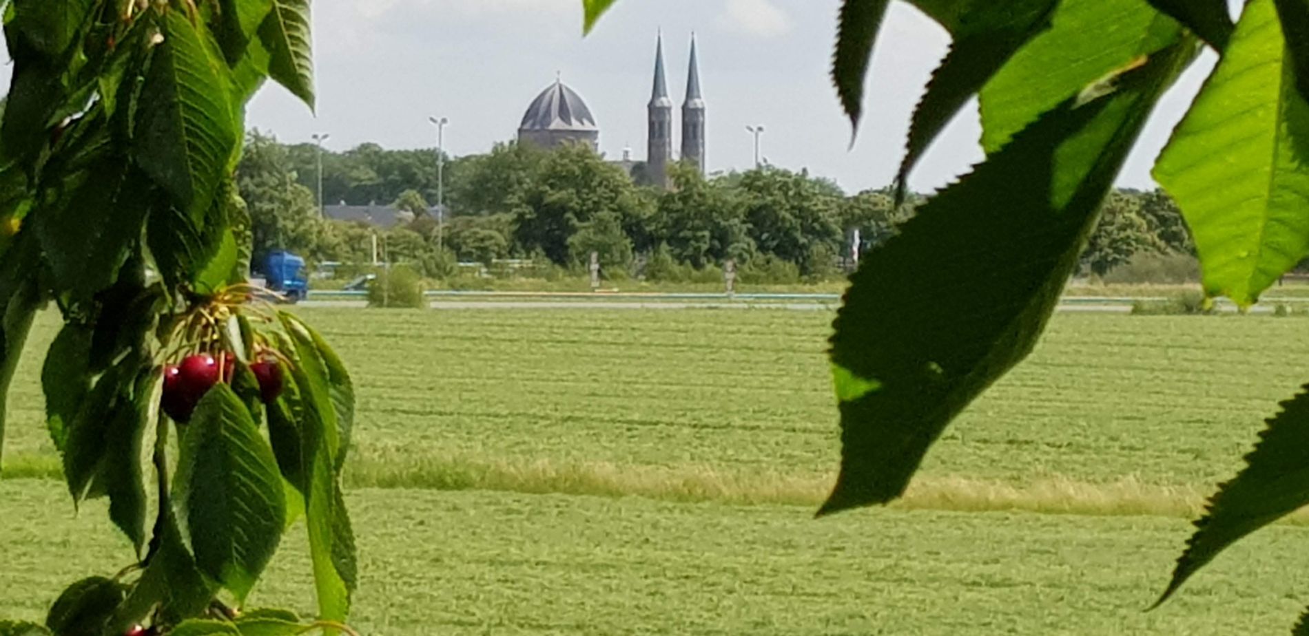 Uitzicht op Sint Petruskerk op loopafstand van Gastenverblijf Broodkaststraat