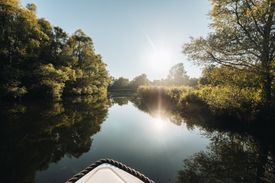 Ontdek de Biesbosch