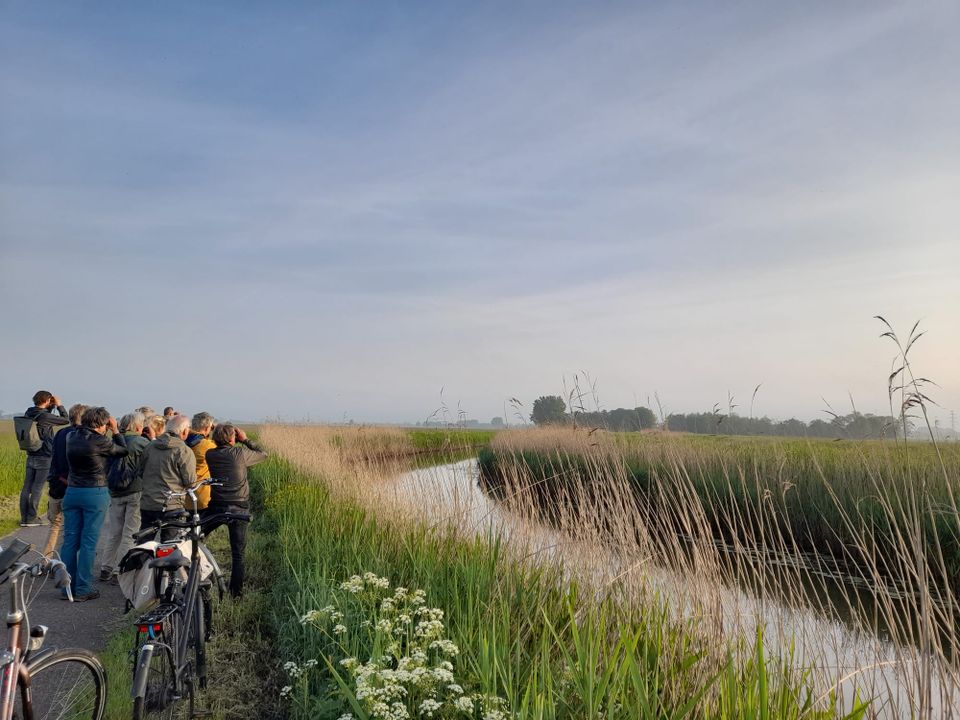 Excursie fietsen en vogels spotten Binnenveld