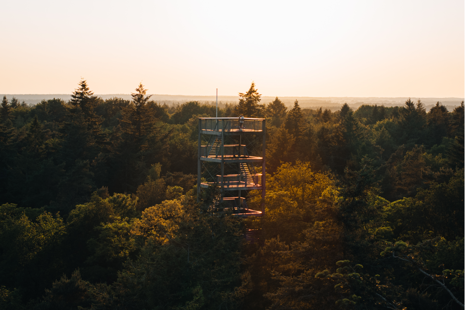 Een uitkijktoren tussen de bomen van een uitgestrekt bos.