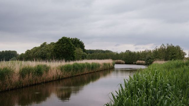 Gras en water de Vliegers