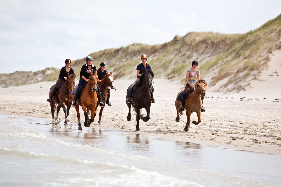 Paarden in galop op strand vanaf zee gezien