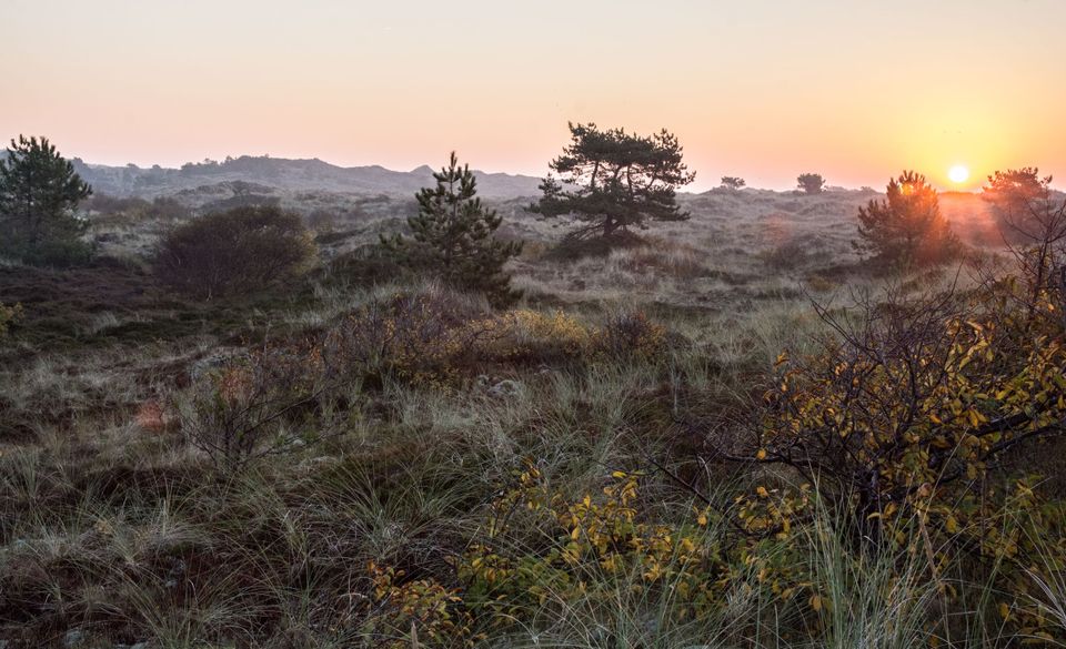 Opkomende zon in duinen Vlieland met nevel (klein)