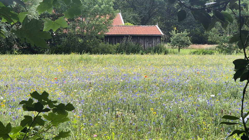Heerenveen-De Heide: waterrijk Friesland