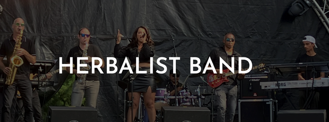 Poster van de Herbalist Band