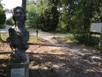 Beeld vd Januskop nabij de Kleine Cirkel Reusel