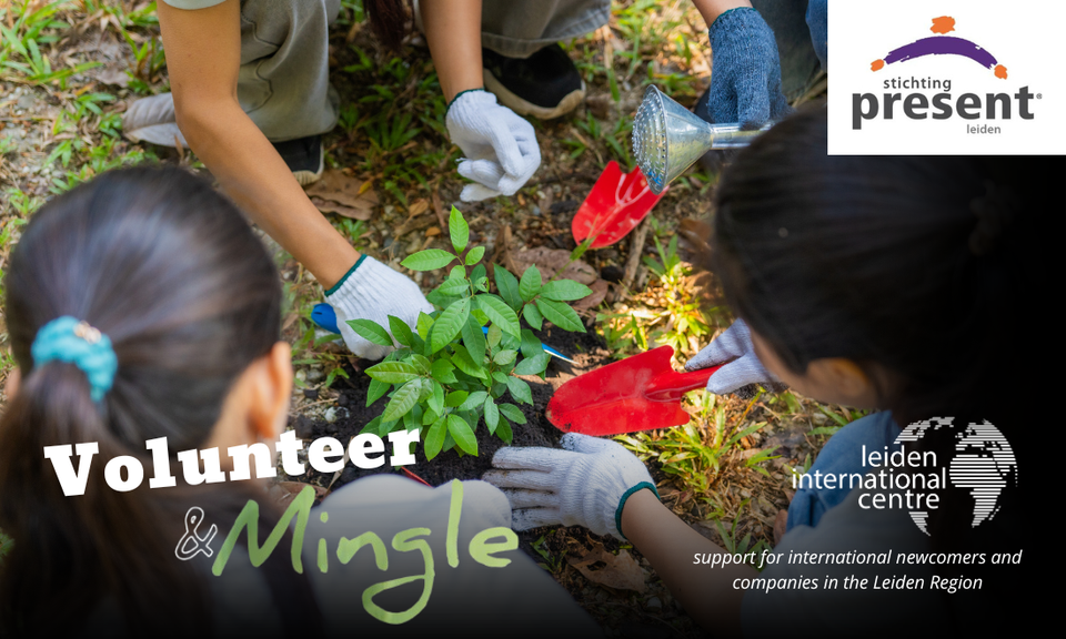 volunteer&mingle