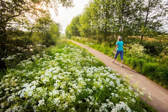 Streekpad Noardlike Fryske Wâlden