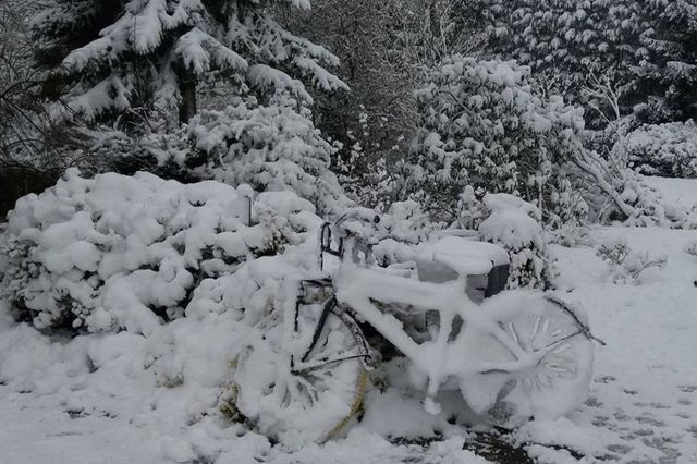 Tegen de bosjes staat een fiets aan die ondergesneeuwd is.