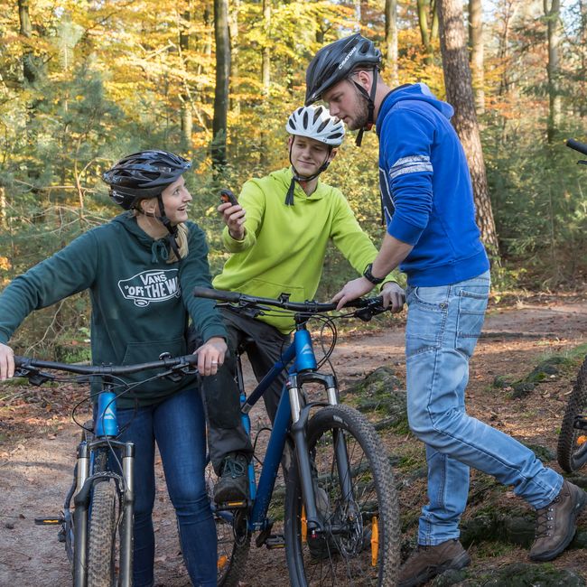 Activiteit bos