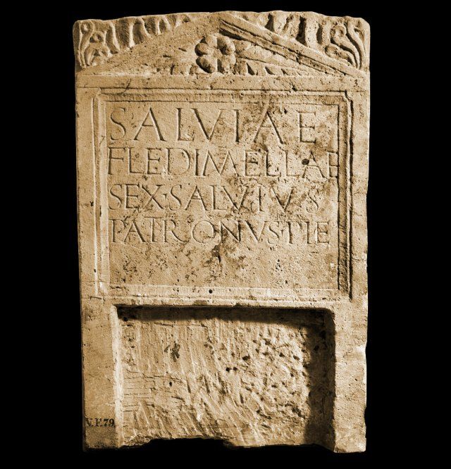 Altaarsteen van Salvia Fledimella