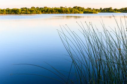 Ankeveense Plassen