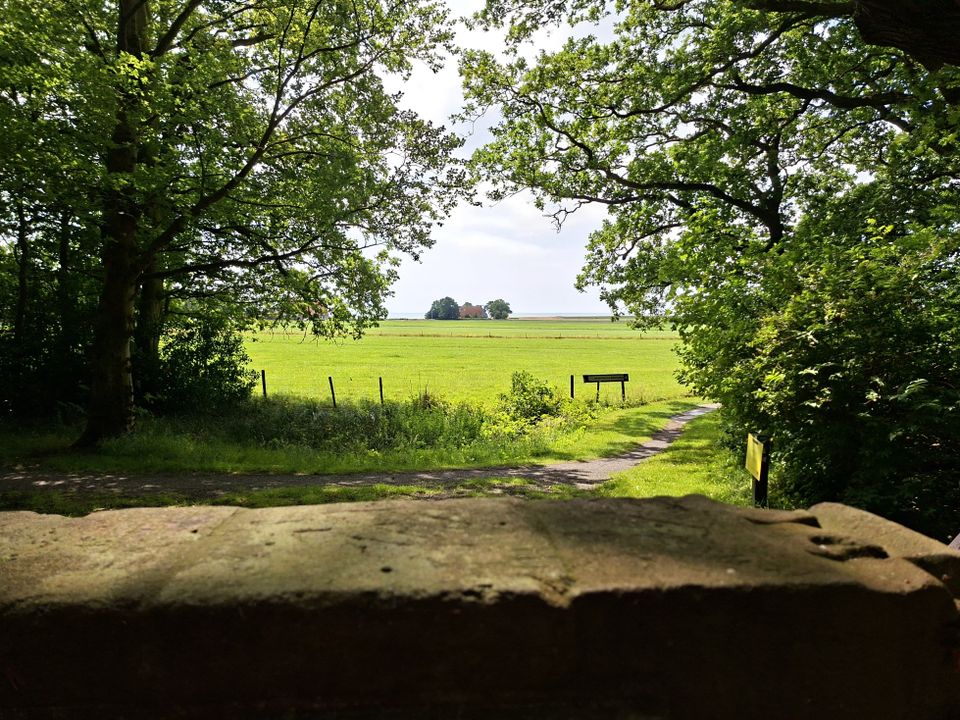 Vier landschapstypen in twee dagen - Nationaal Landschap Zuidwest Fryslân vanuit Stavoren | Fietsroute