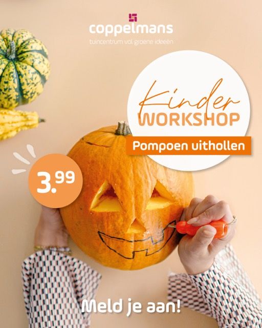 workshop pompoen uithollen