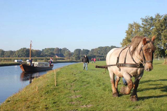 Snikke Johannes Veldkamp varend