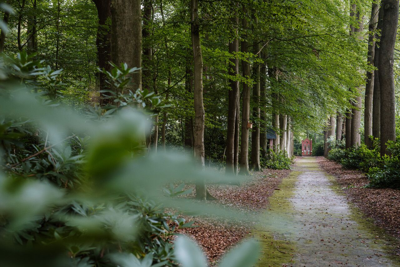 Kapucijnenklooster Meerseldreef - bomenlaan