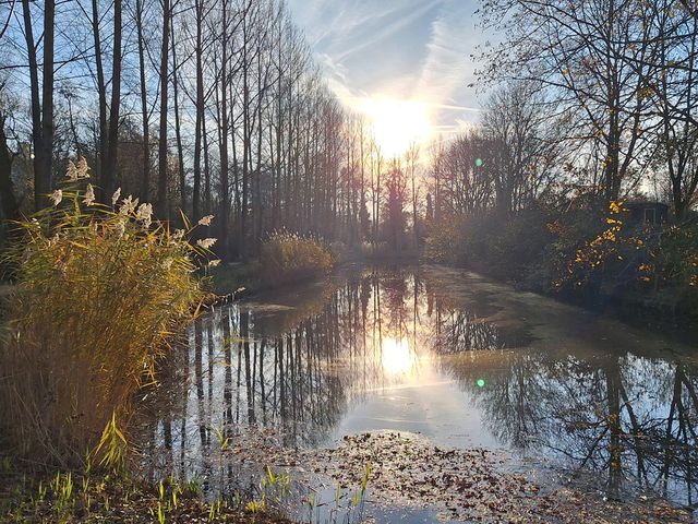 Plassenlandschap langs de Vecht