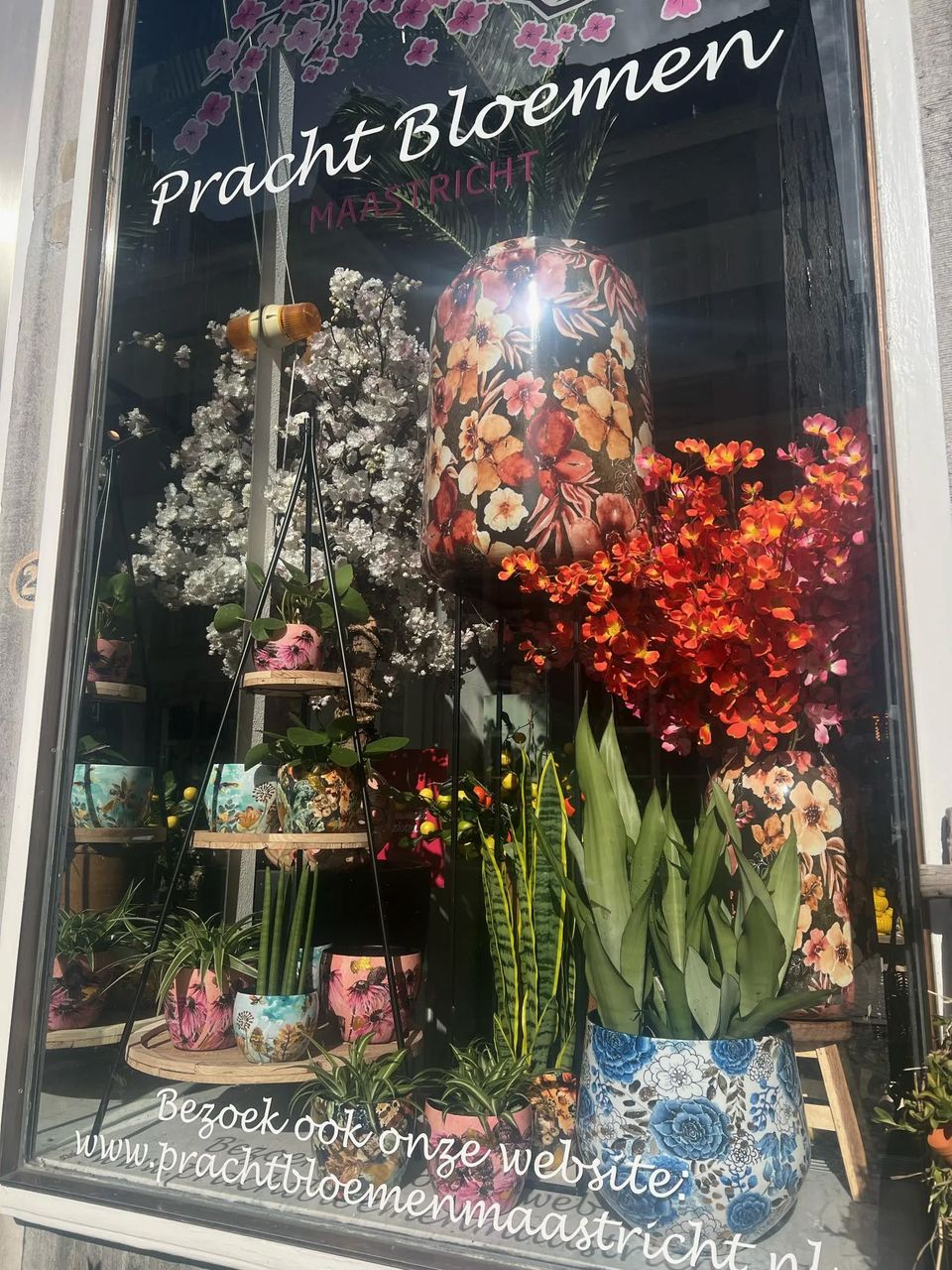 Pracht Bloemen Maastricht etalage