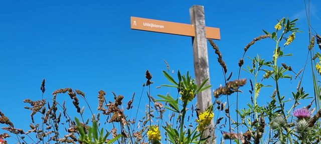 Uitkijktoren Vuurboetsduin Vlieland