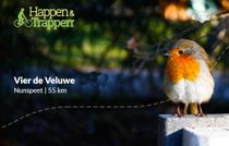 Happen Trappen Vier de Veluwe