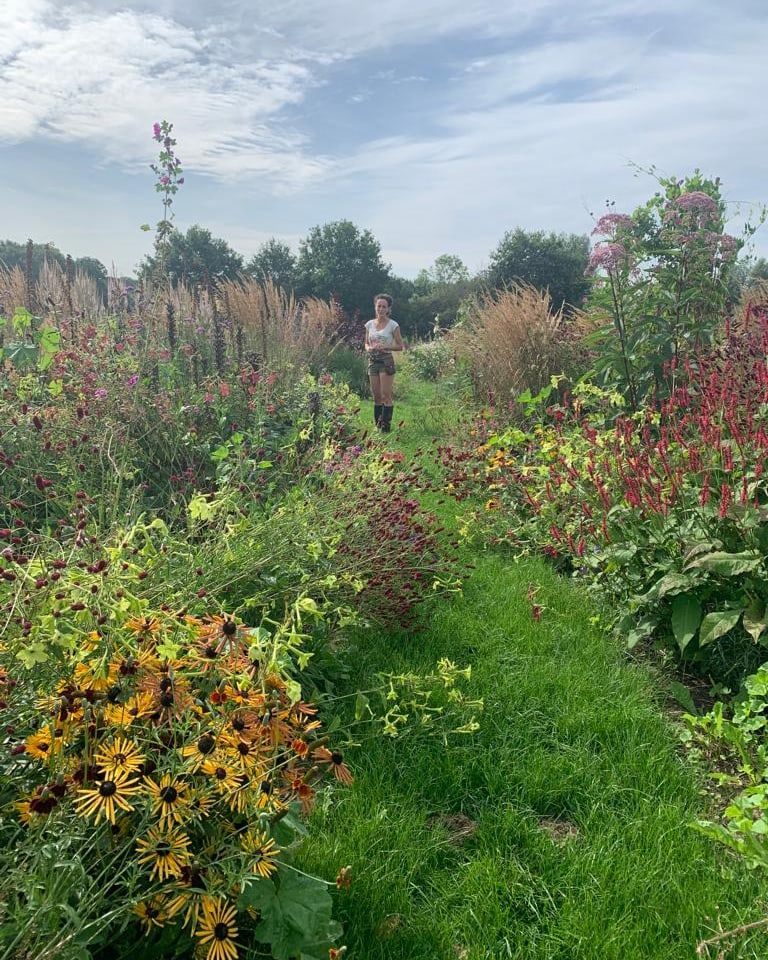 De tuin bij Pluktuin Mooy