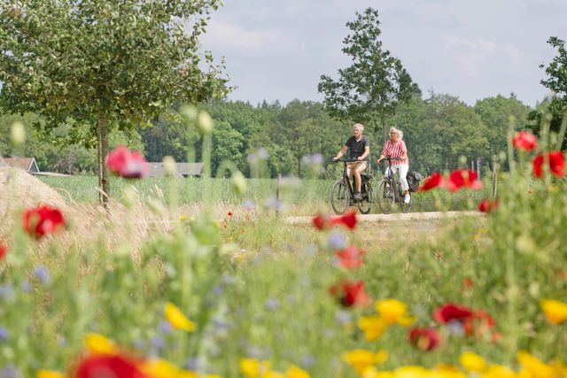 Fietsend echtpaar in Frederiksoord