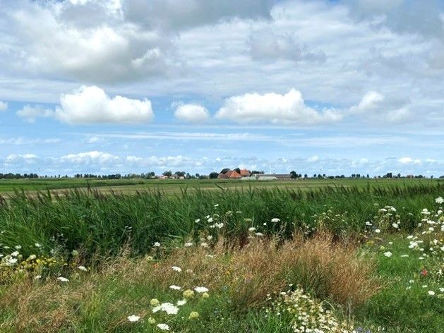 Oersetters pontjesroute