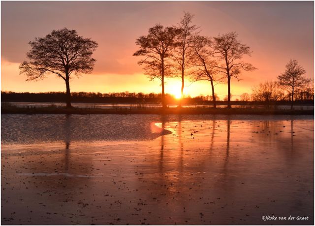 Nannewiid ondergaande zon