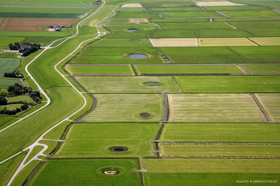Dobben buiten zeedijk Hallum
