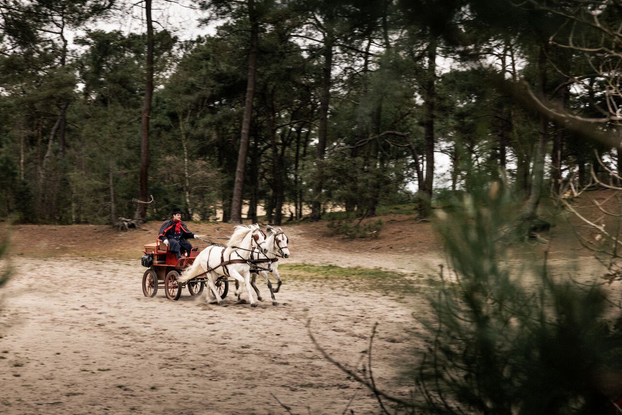 Postkoetsier met paarden rennen
