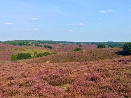 Cycle route Posbank Eerbeek