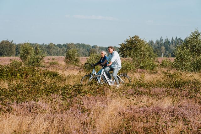 Natuurgebied de Maashorst - fietsers