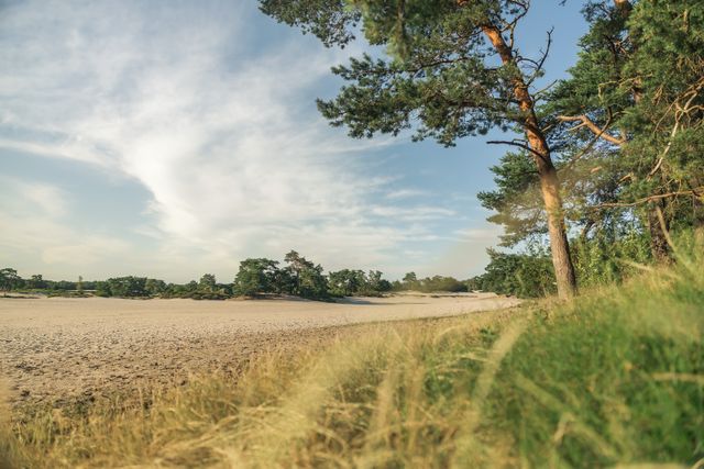 Soesterduinen