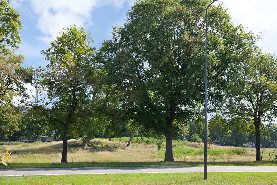 Onderdeel van Linie 1629