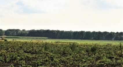 Hoogteverschil Hogen aarlen / Peelrandbreuk Esp Gemert-Bakel