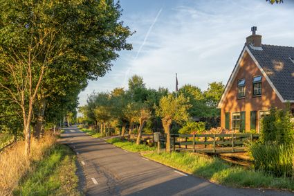 Een smalle Autoweg waar huizen aan grenzen met daarom om heen veel groen zoals bomen en struiken.