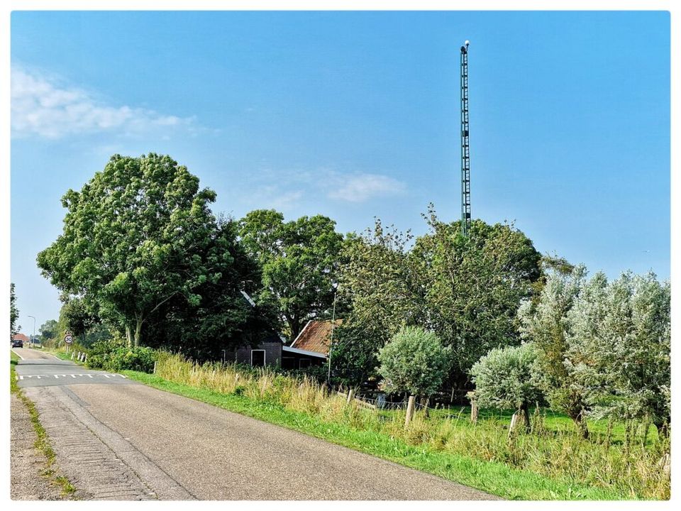 Seinmast