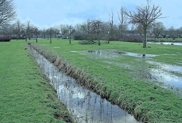 Publiekswandeling Natuurtuin De Bimd