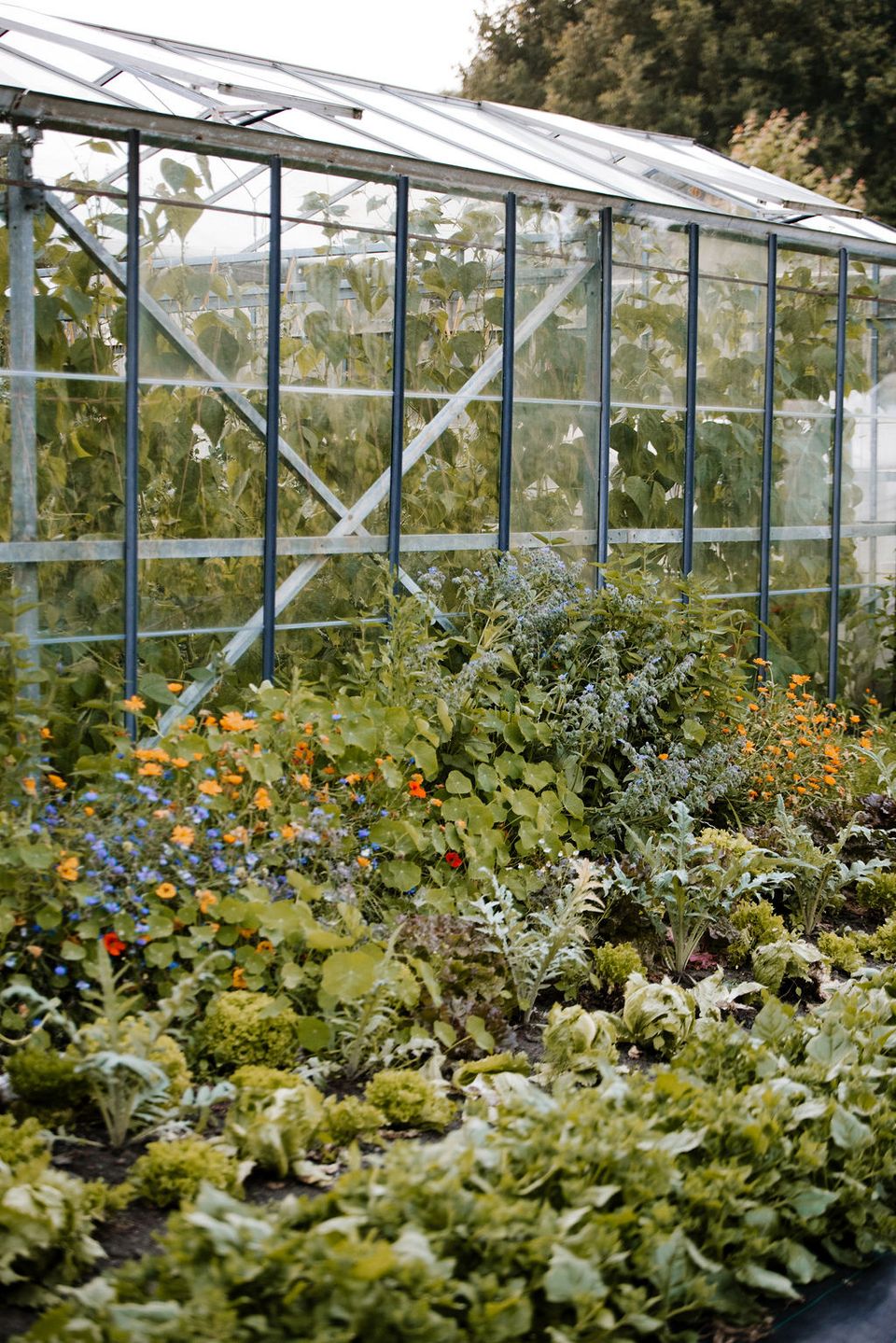 Kas en kleurrijke moestuin met groenten, kruiden en bloemen bij De Eemlandhoeve in het Groene Hart.