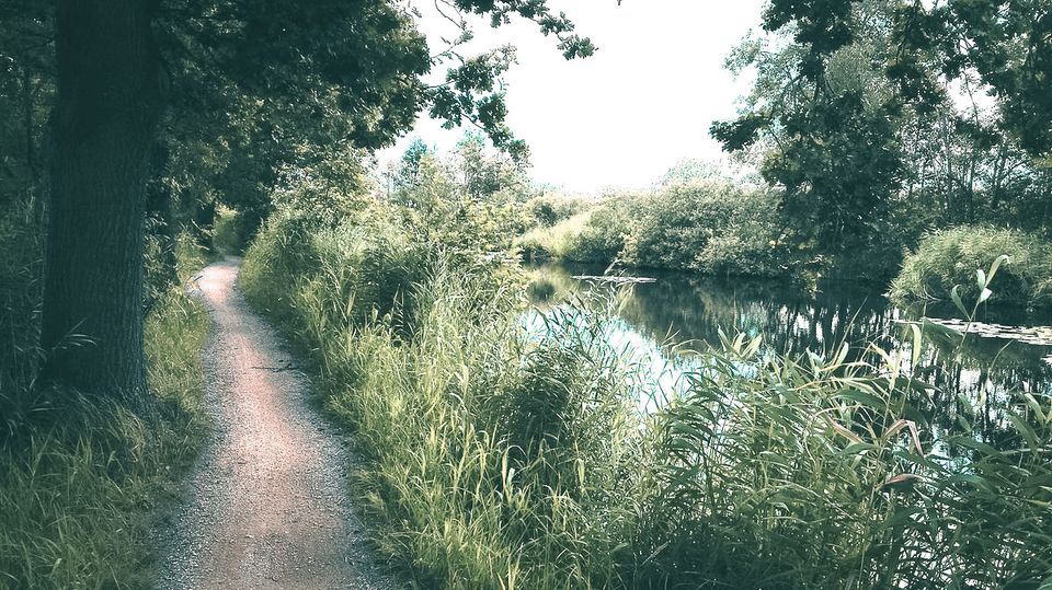 Ankeveense Plassen