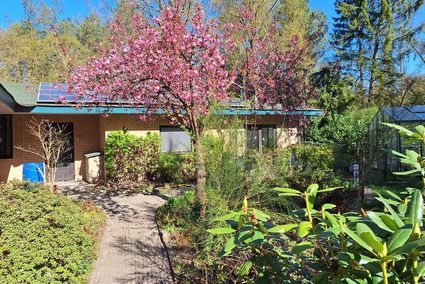 Tuin B&B Huize Boszicht