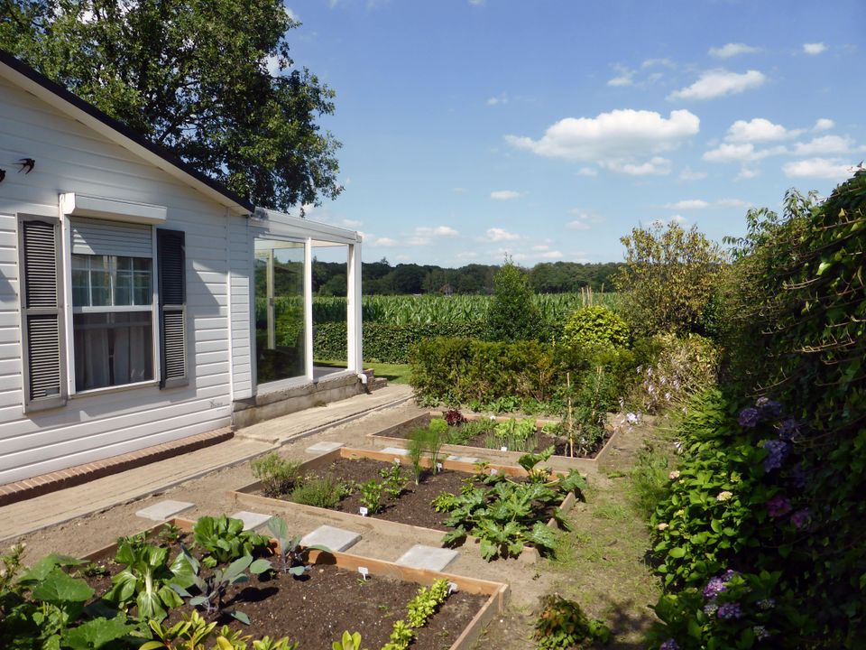 Zichtbaar is een klein gedeelte van de witte houten vakantiewoning met de serre en het moestuintje. Uitzicht op een maisveld en een bosrand.