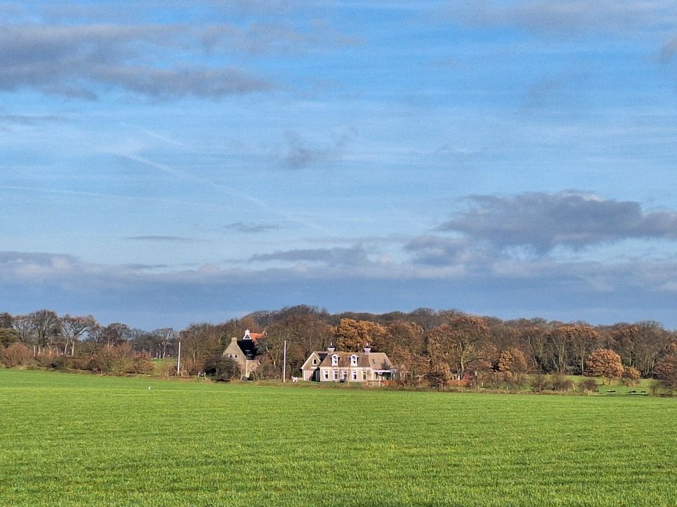 Wandelroute Gaasterland: Jolderenbos, Rijsterbos en Elfbergen