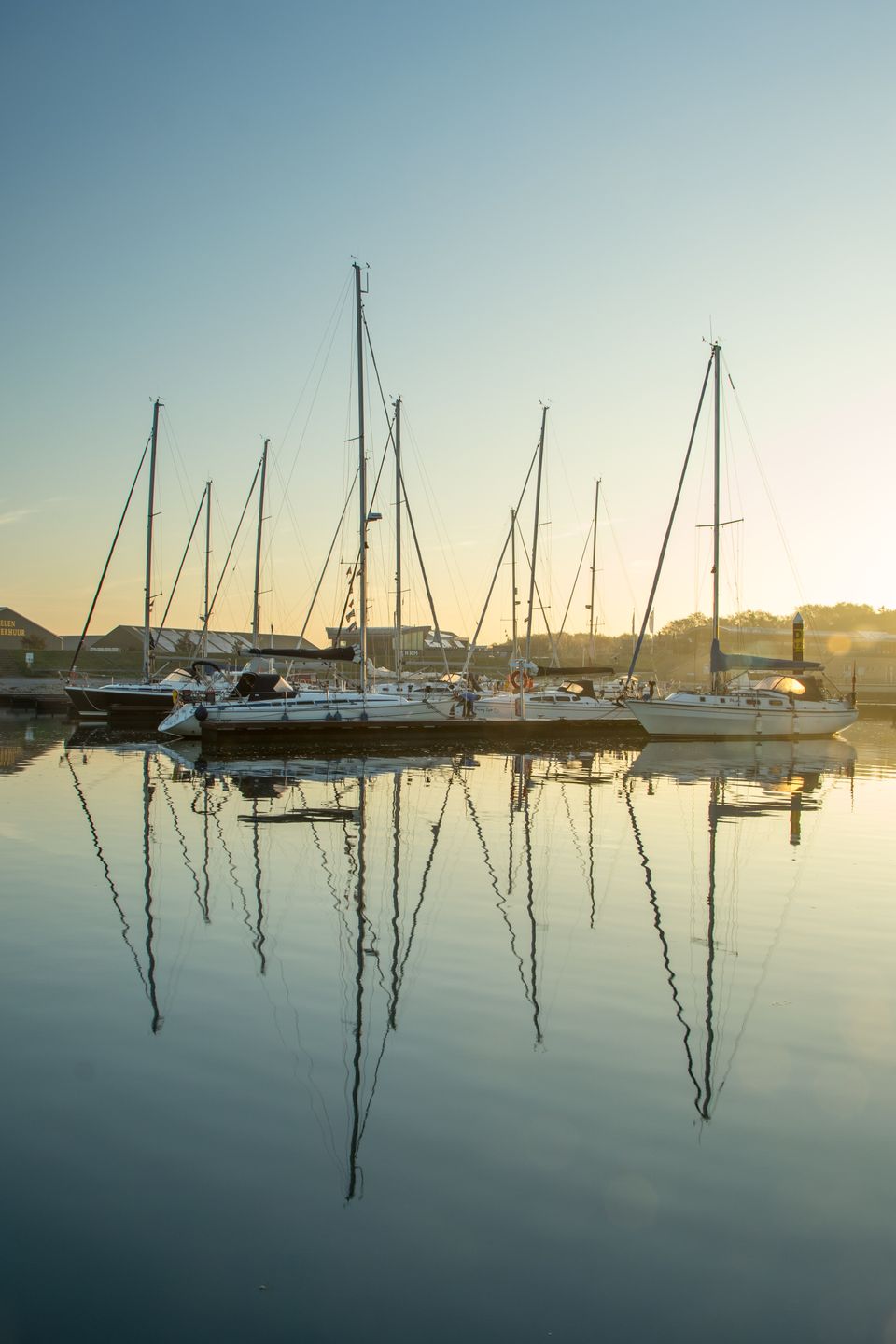 Zeilschepen weerspiegeld in het gladde water in de jachthaven Vlieland