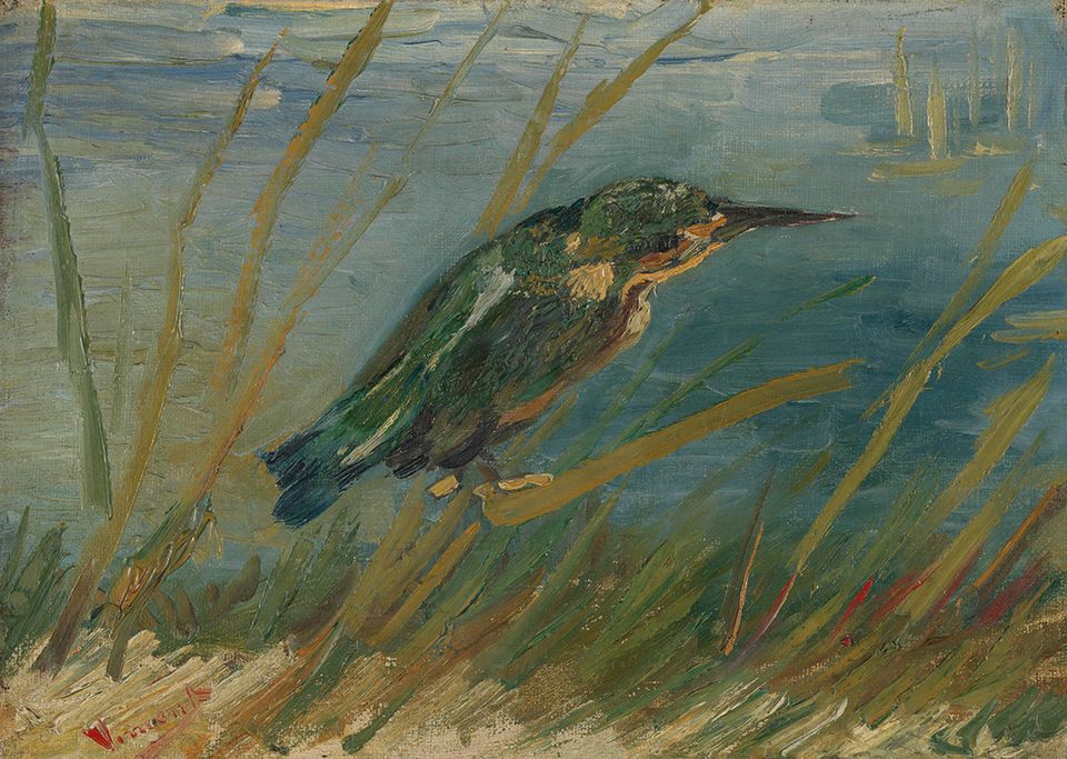 Een afbeelding van het schilderij: Ijsvogel in het riet, gemaakt door Vincent van Gogh, te Parijs, in 1887