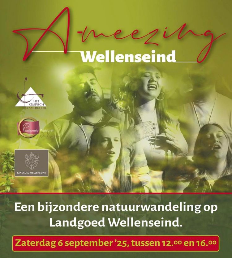 Muzikale Wandeling