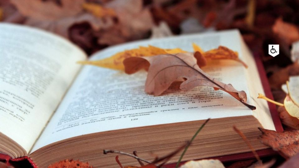 Christelijke boekwinkel De Hoeksteen Woerden, provincie Utrecht, Groene Hart, openliggend boek met herfstblad tussen de pagina’s als sfeerbeeld voor lezen, bijbels en inspirerende boeken in de binnenstad.
