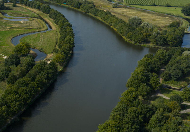 Duiker Zuid-Willemsvaart