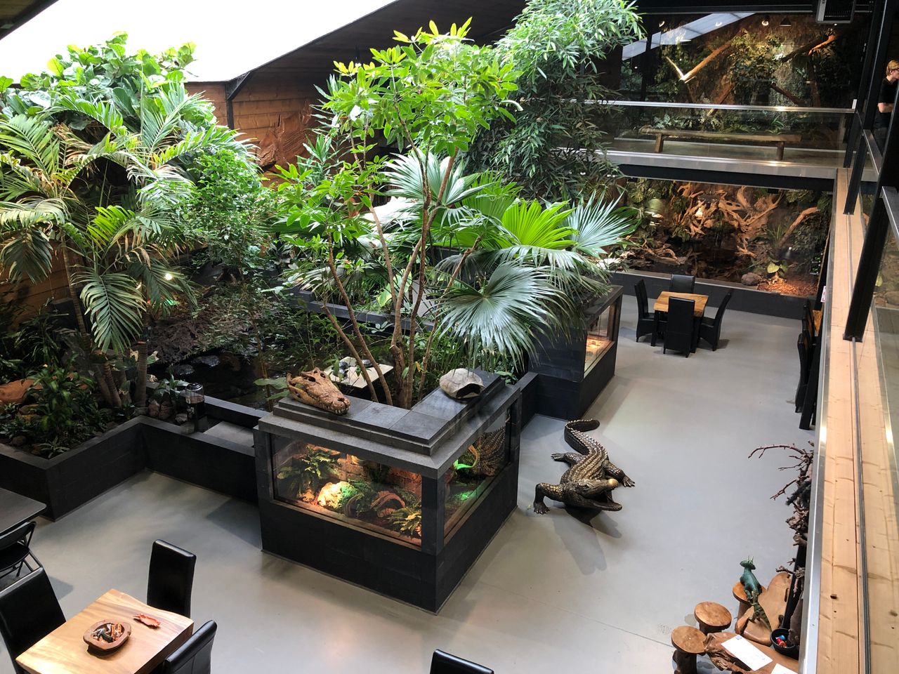 Reptielenhuis De Aarde in Breda – foto 1